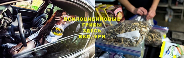 спиды Арсеньев