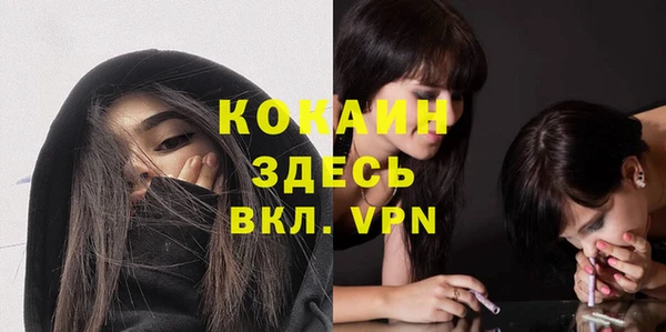 спиды Арсеньев